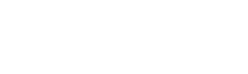 American Force