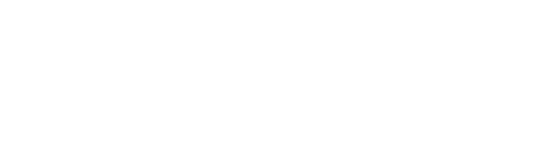 Moto Metal