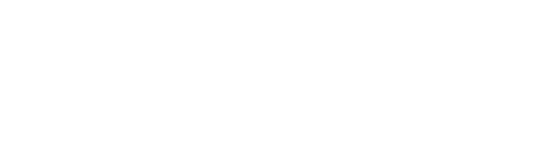 Nitto