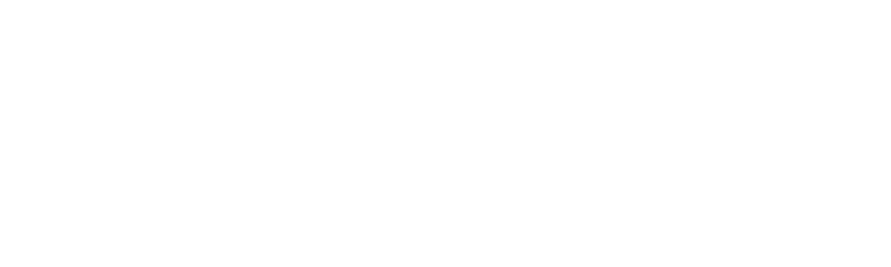 Vision